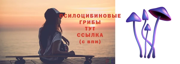 сатива Белоозёрский
