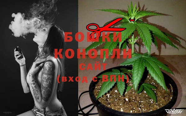 сатива Белоозёрский