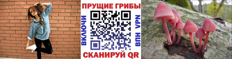 Галлюциногенные грибы GOLDEN TEACHER  Купить  Миллерово 